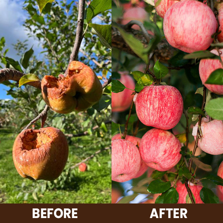 KISSHI™ Soil Activator ACE 4