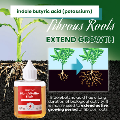 LIMETOW™ Plant Vitality Elixir