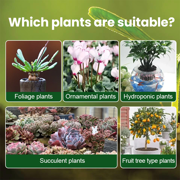 KISSHI™ Plant Vitality Elixir Ultra 01