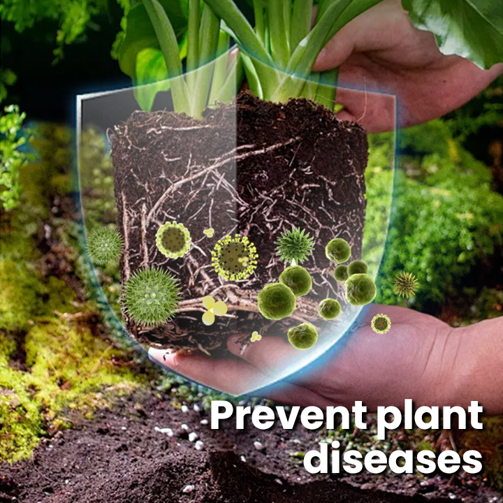 KISSHI™ Plant Vitality Elixir Ultra 01