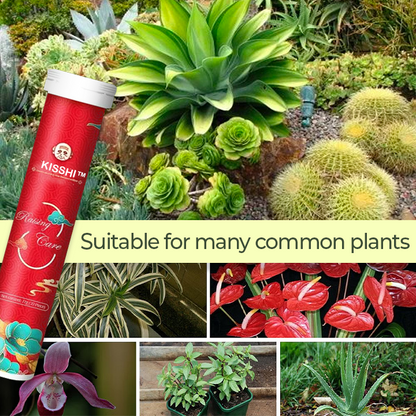 KISSHI™ Universal Slow-Release Organic Fertilizer D05