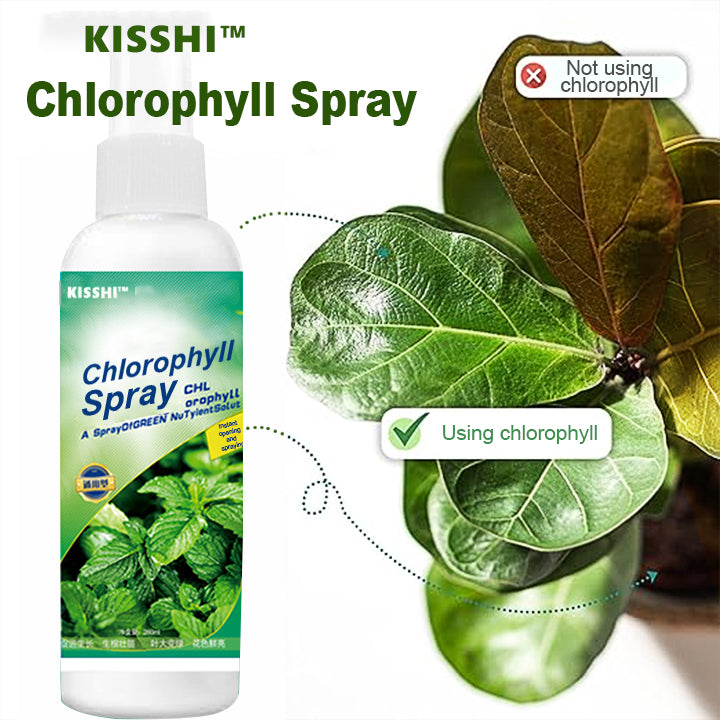 KISSHI™ Chlorophyll Spray ACE 9
