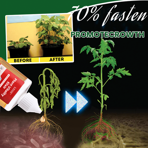 KISSHI™ Plant Vitality Elixir Ultra 01