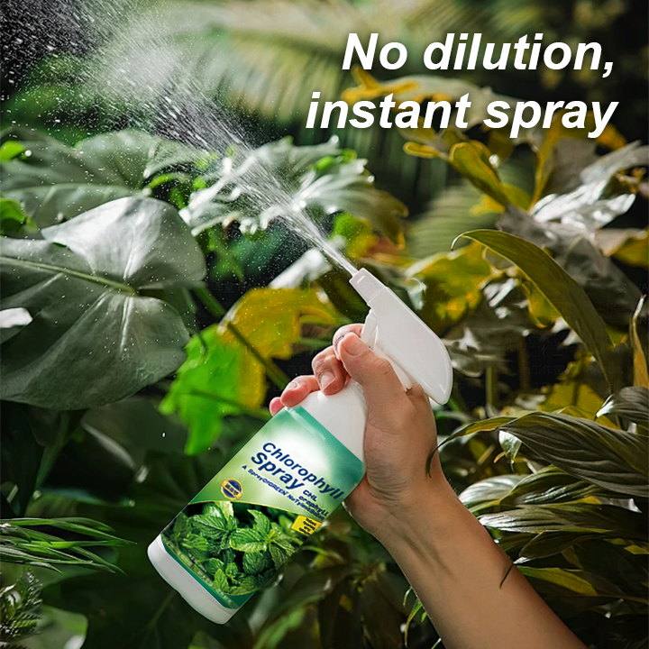 KISSHI™ Chlorophyll Spray ACE 9