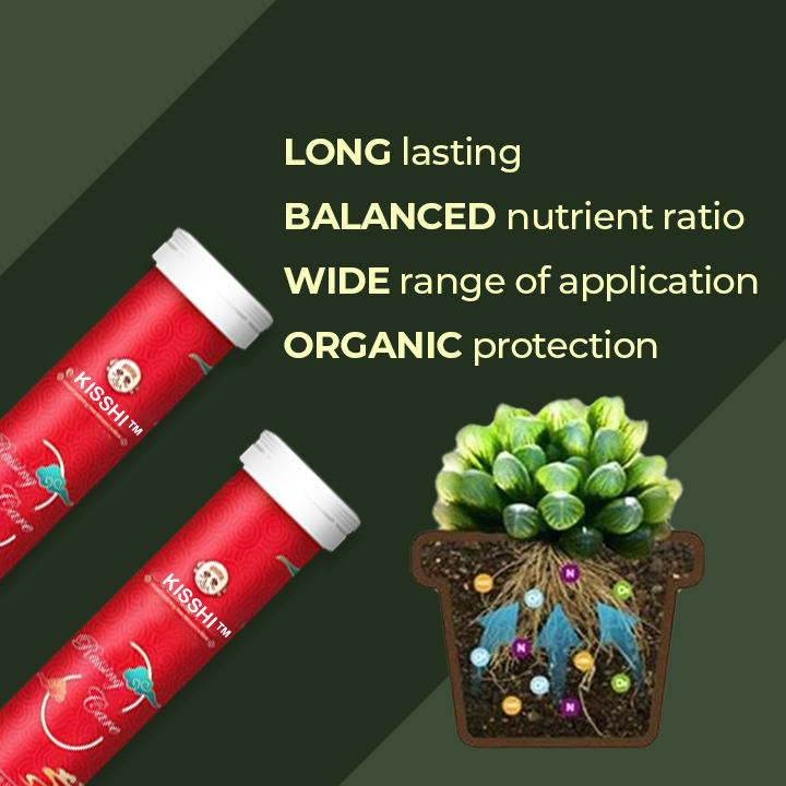 KISSHI™ Universal Slow-Release Organic Fertilizer D05