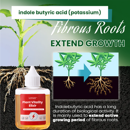 KISSHI™ Plant Vitality Elixir Ultra 01