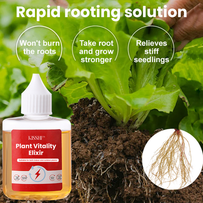 KISSHI™ Plant Vitality Elixir Ultra 01