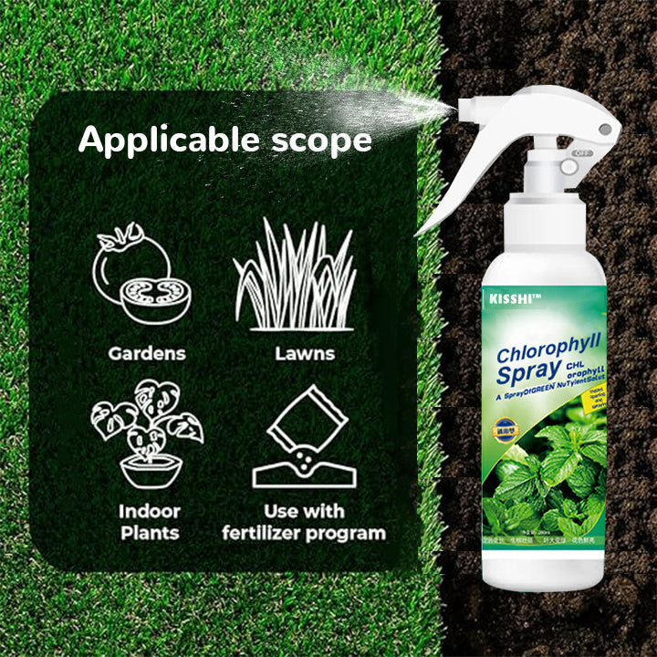 KISSHI™ Chlorophyll Spray ACE 9