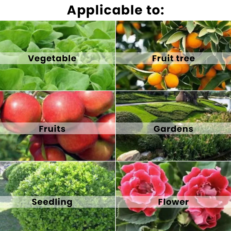 KISSHI™ Anti-Frost Growth Solution for Plants