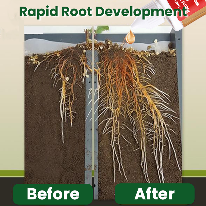 KISSHI™ Plant Vitality Elixir Ultra 01