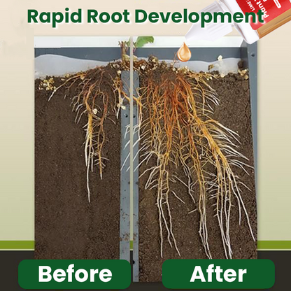 KISSHI™ Plant Vitality Elixir Ultra 01