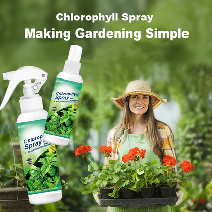 KISSHI™ Chlorophyll Spray ACE 9