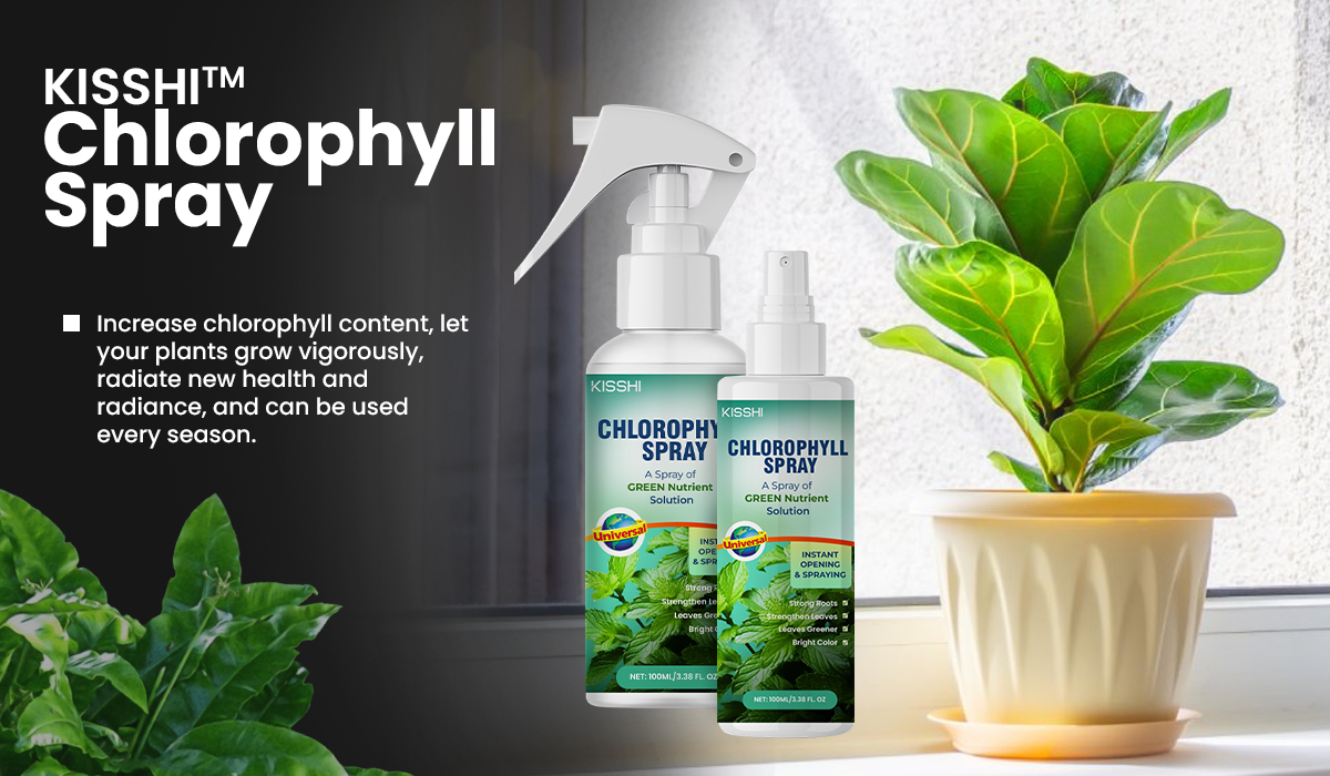 KISSHI™ Chlorophyll Spray NEW