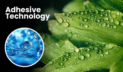 KISSHI™ Chlorophyll Spray NEW