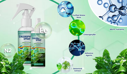 KISSHI™ Chlorophyll Spray NEW