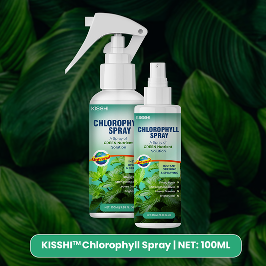 KISSHI™ Chlorophyll Spray NEW