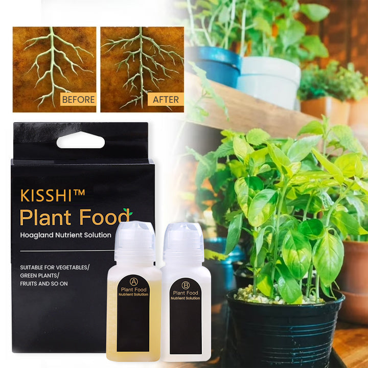 KISSHI™ Hoagland Nutrient Solution D04