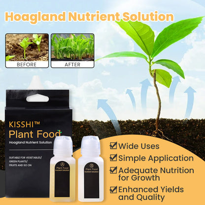 KISSHI™ Hoagland Nutrient Solution D04