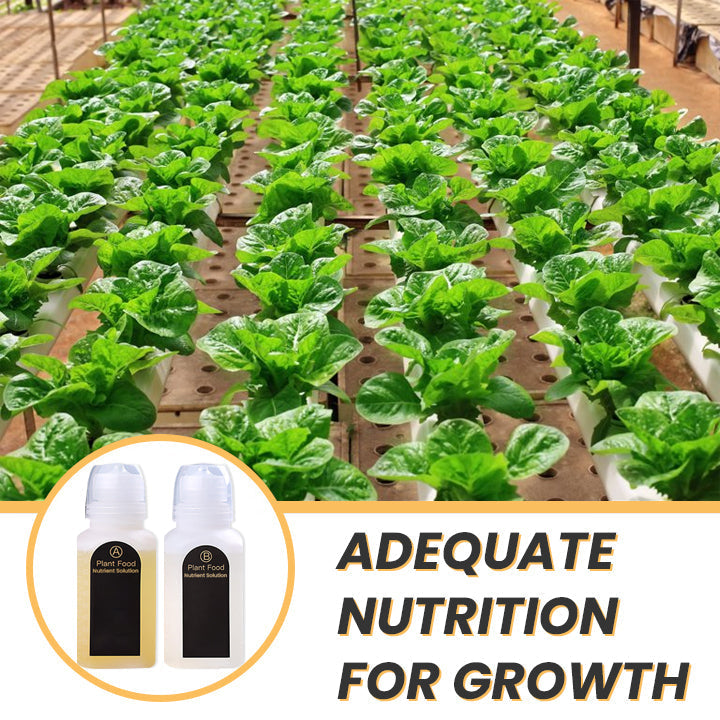 KISSHI™ Hoagland Nutrient Solution D04