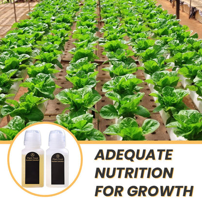 KISSHI™ Hoagland Nutrient Solution D04