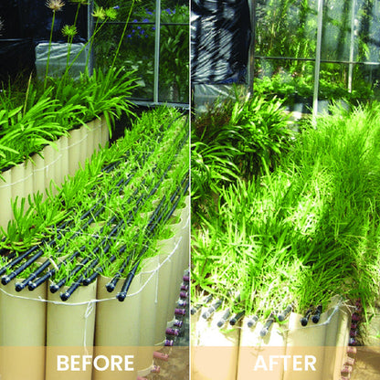 KISSHI™ Hoagland Nutrient Solution D04