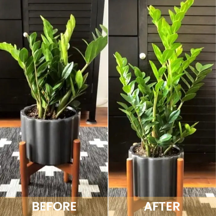 KISSHI™ Hoagland Nutrient Solution D04