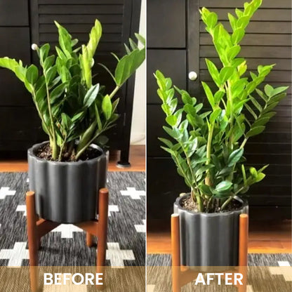 KISSHI™ Hoagland Nutrient Solution D04