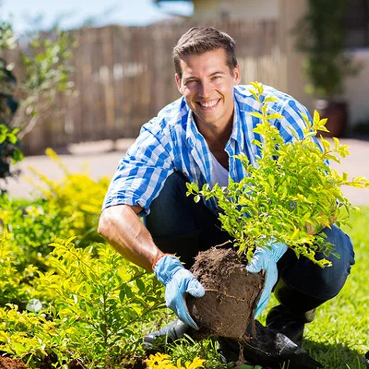 KISSHI™ Soil Activator