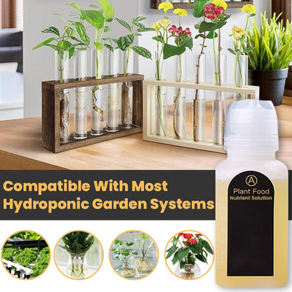 KISSHI™ Hoagland Nutrient Solution D04