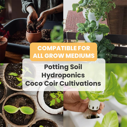 KISSHI™ Hoagland Nutrient Solution D04