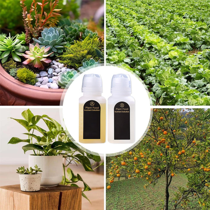 KISSHI™ Hoagland Nutrient Solution D04