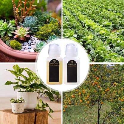 KISSHI™ Hoagland Nutrient Solution D04