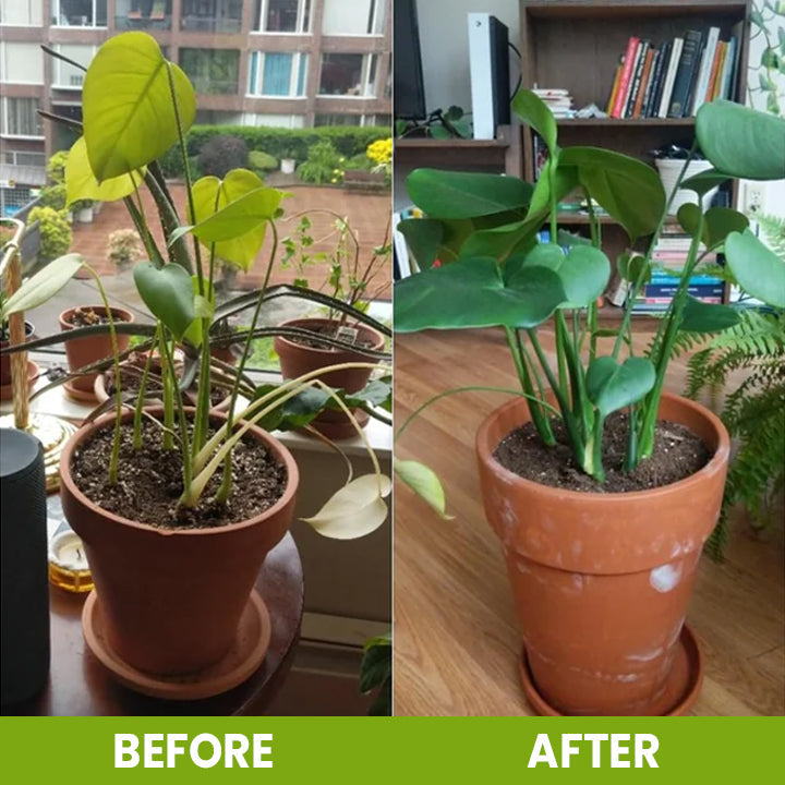 KISSHI™ Soil Activator