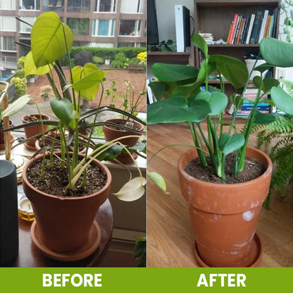 KISSHI™ Soil Activator