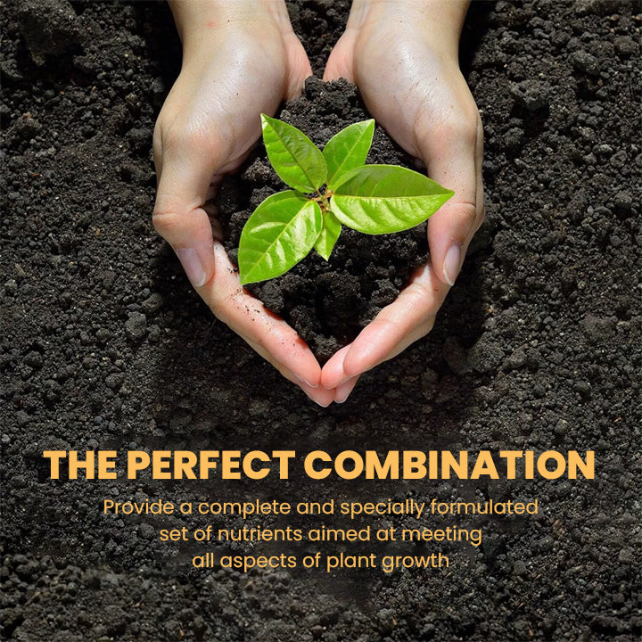 KISSHI™ Hoagland Nutrient Solution D04