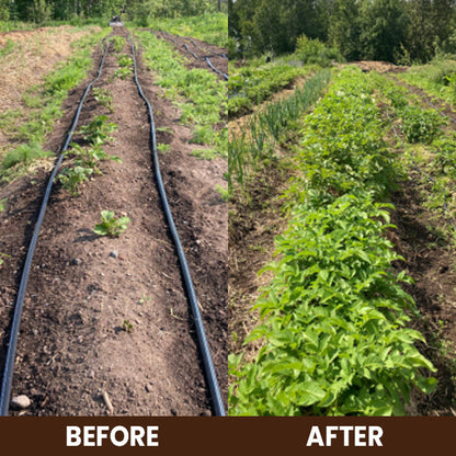 KISSHI™ Soil Activator