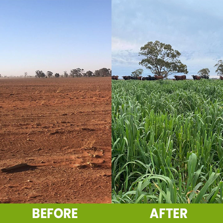 KISSHI™ Soil Activator