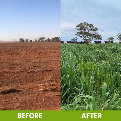 KISSHI™ Soil Activator