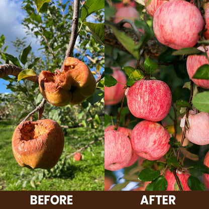 KISSHI™ Soil Activator