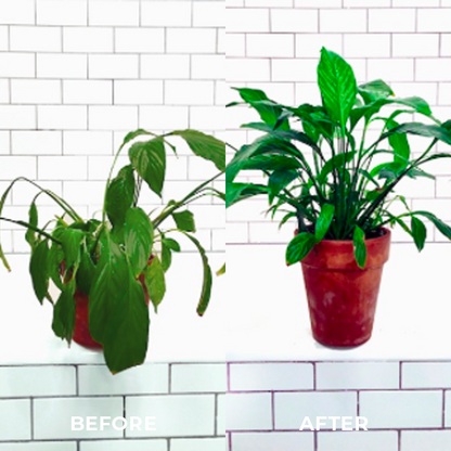 Greenworks™ Universal Slow-Release Organic Fertilizer