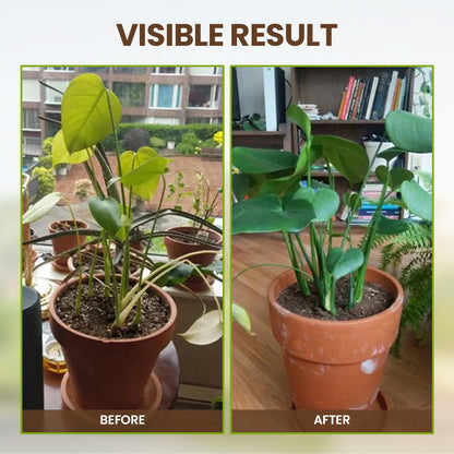 KISSHI™ Soil Pro Activator 🌱