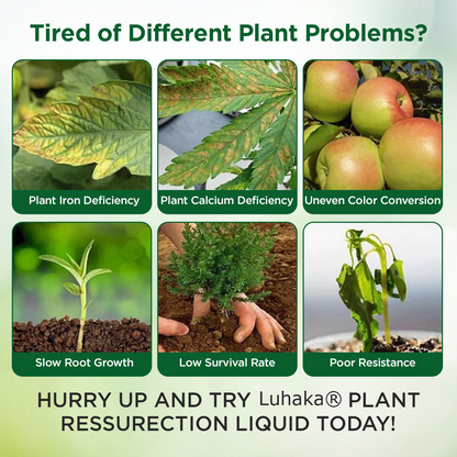 Luhaka® Plant Resurrection Liquid ACE 1