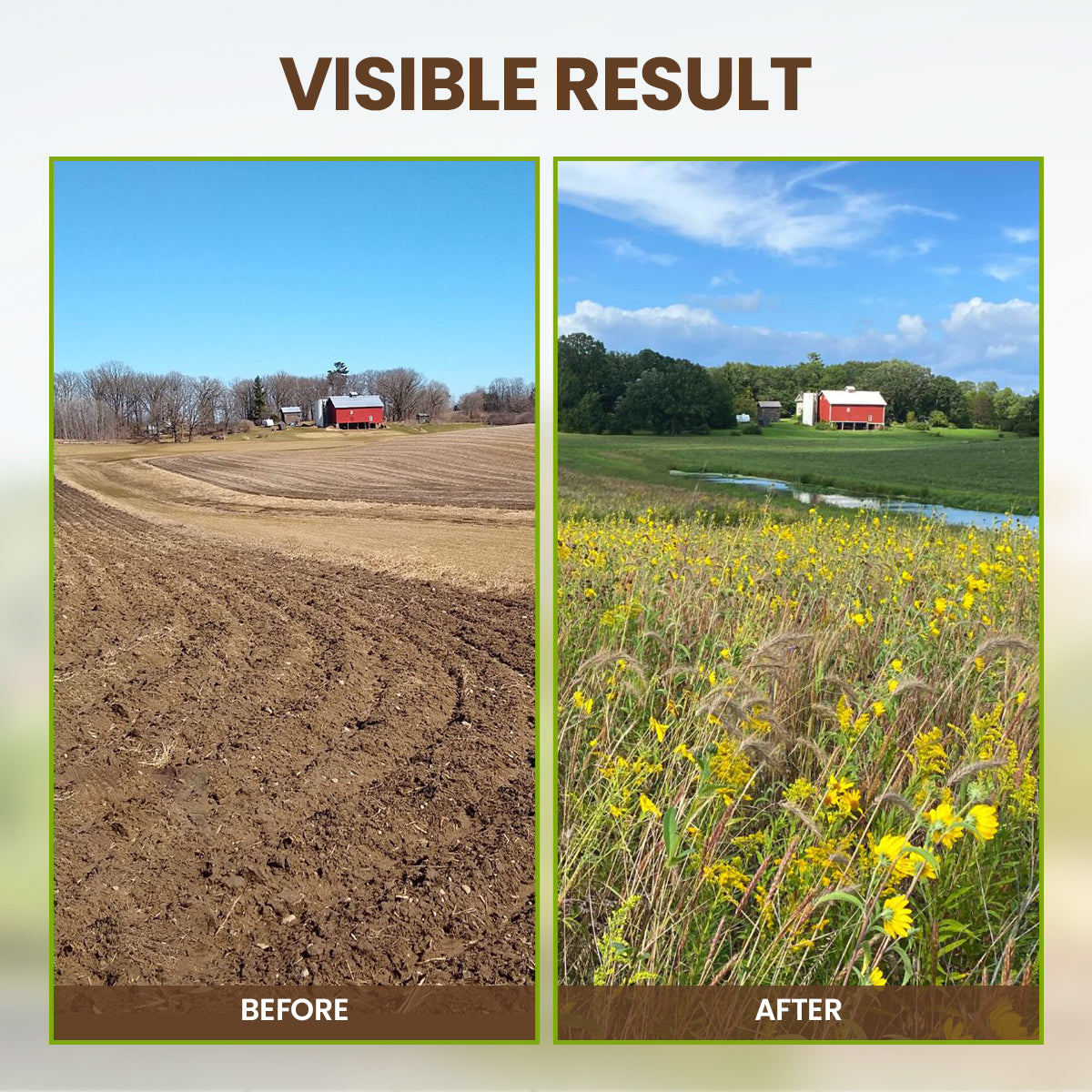 KISSHI™ Soil Pro Activator 🌱