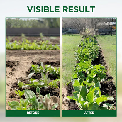 Luhaka® Plant Resurrection Liquid ACE 1