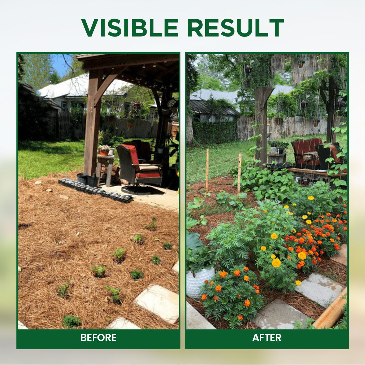 Luhaka® Plant Resurrection Liquid ACE 1